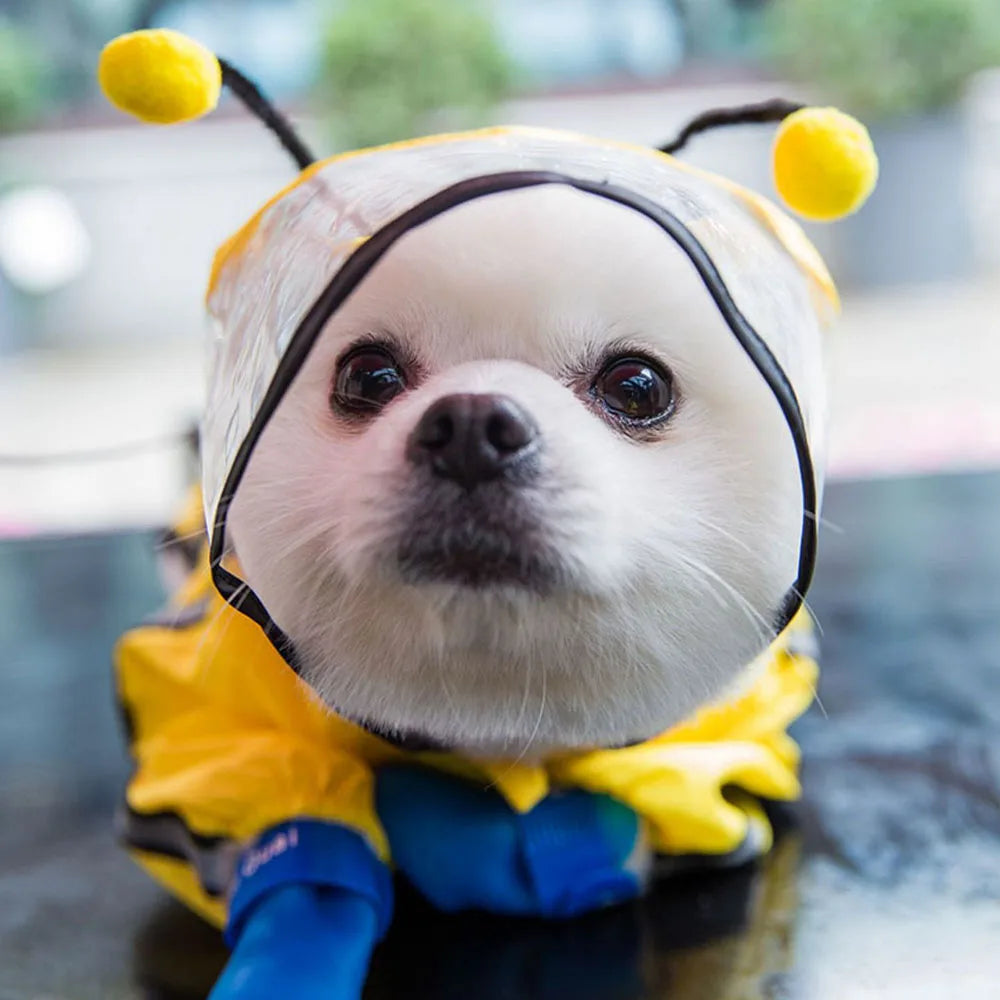 Bear, Dinosaur, or Bumble Bee Dog Raincoat