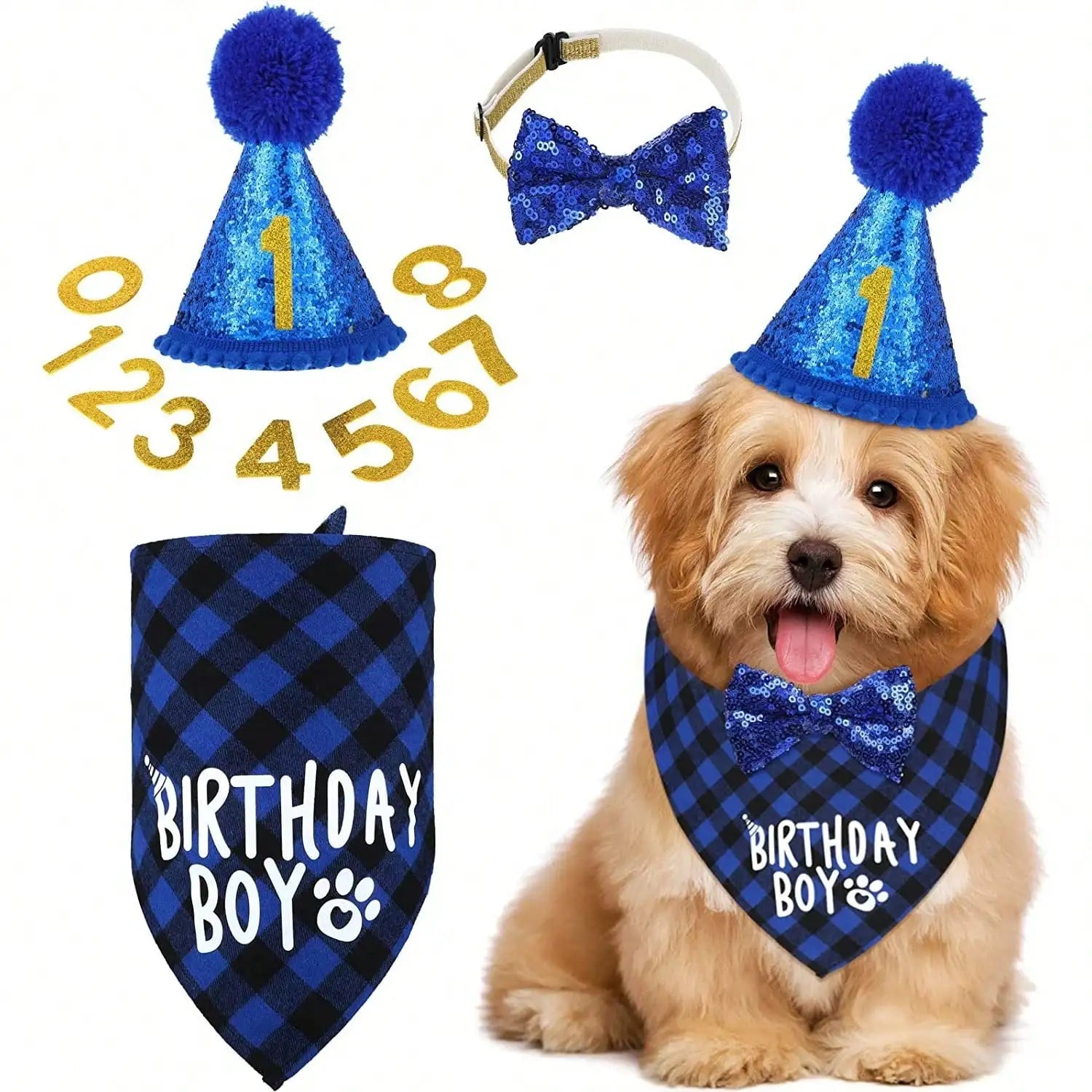 Blue Birthday Boy Party Set