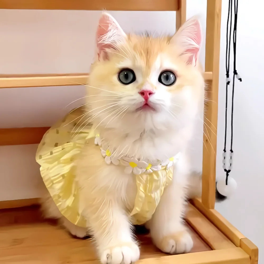 Adorable Small Dog or Cat Dress