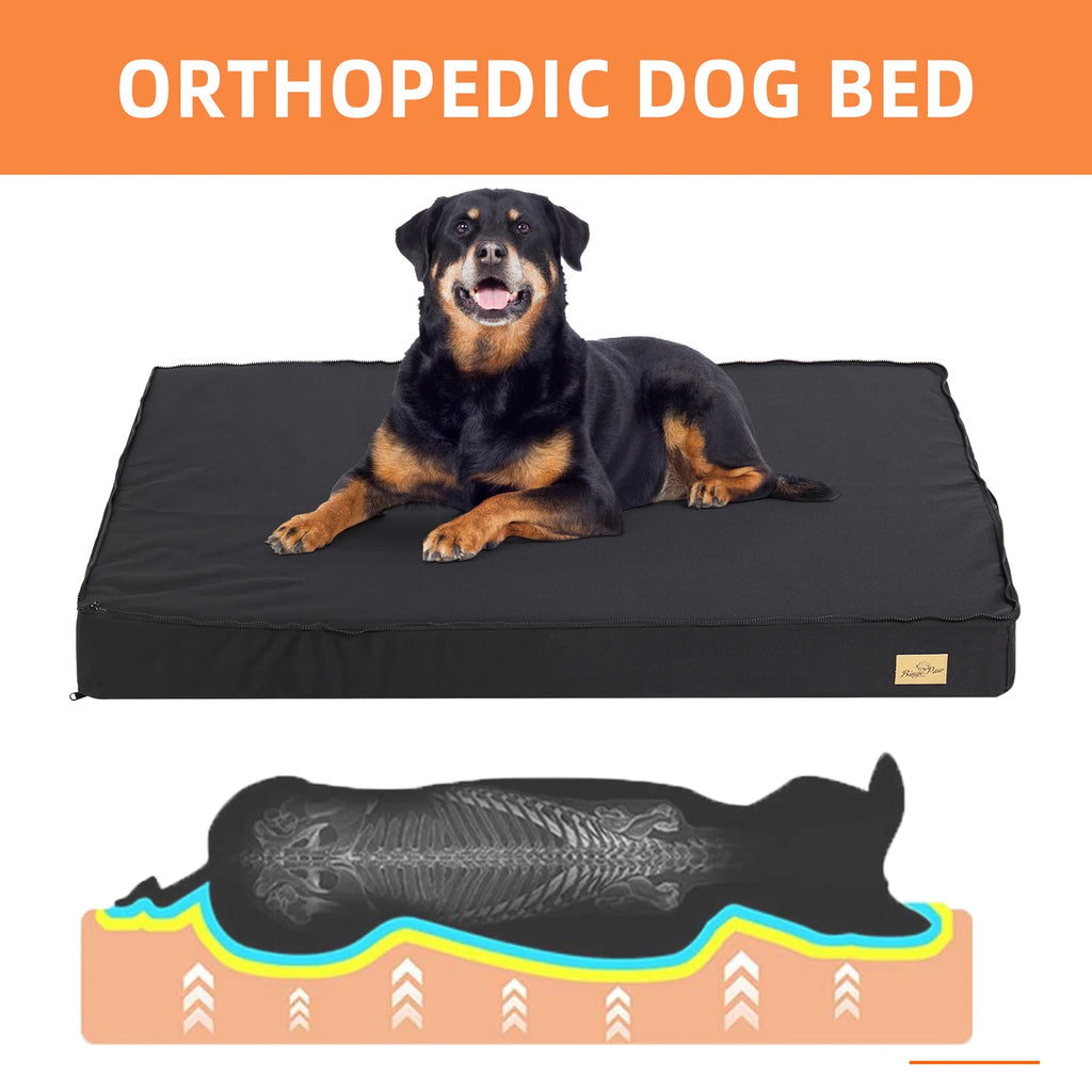 Large Orthopedic Dog Bed, Machine Washable