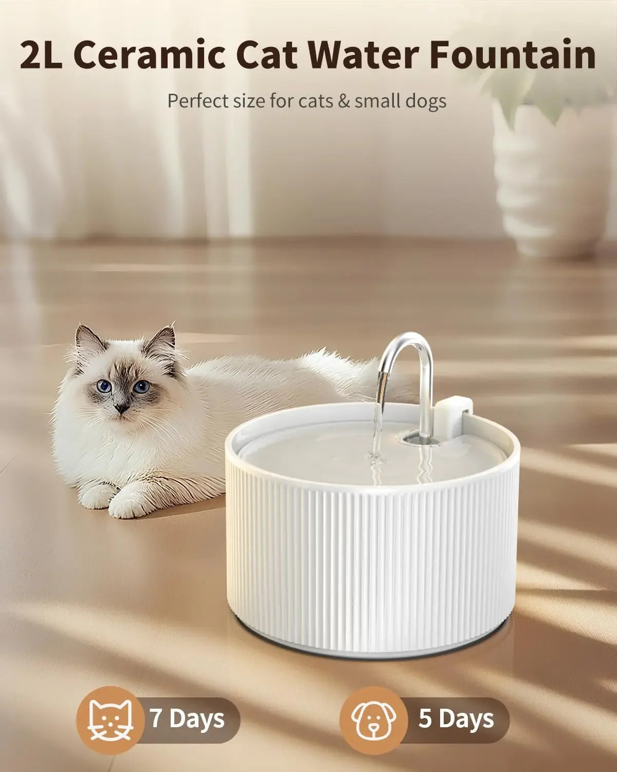 Modern White Ceramic Pet Fountain, Silver Faucet
