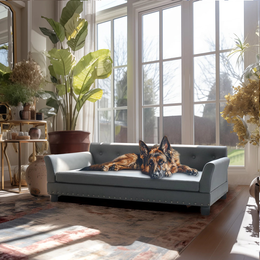Durable Elevated Modern Dog Sofa Bed