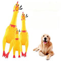 Squeaky Screaming Chicken Dog Toy