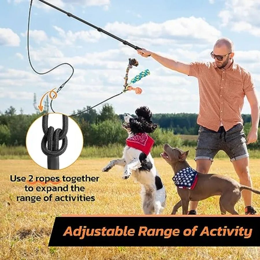 Dog Flirt Pole Toy with Fun Attachments