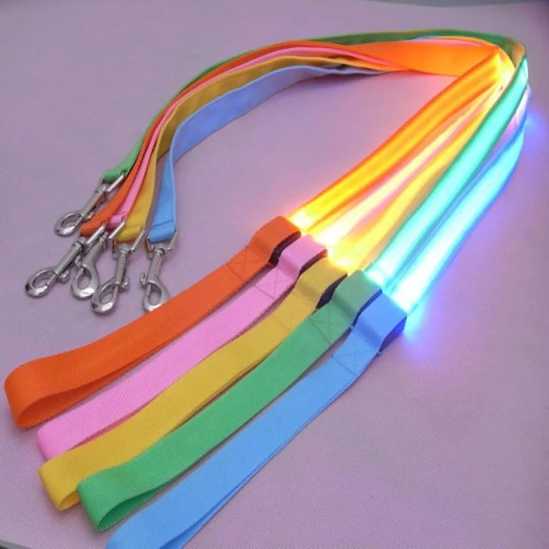 LED Lighted Dog Leash