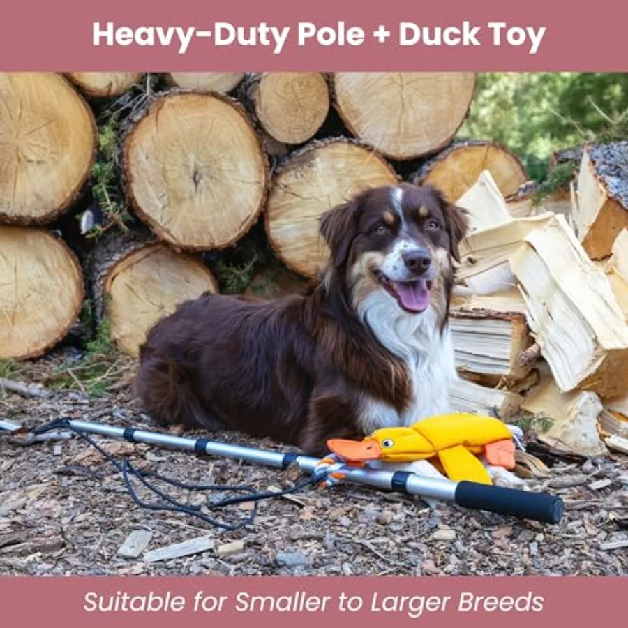 Heavy Duty Flirt Pole for Dogs