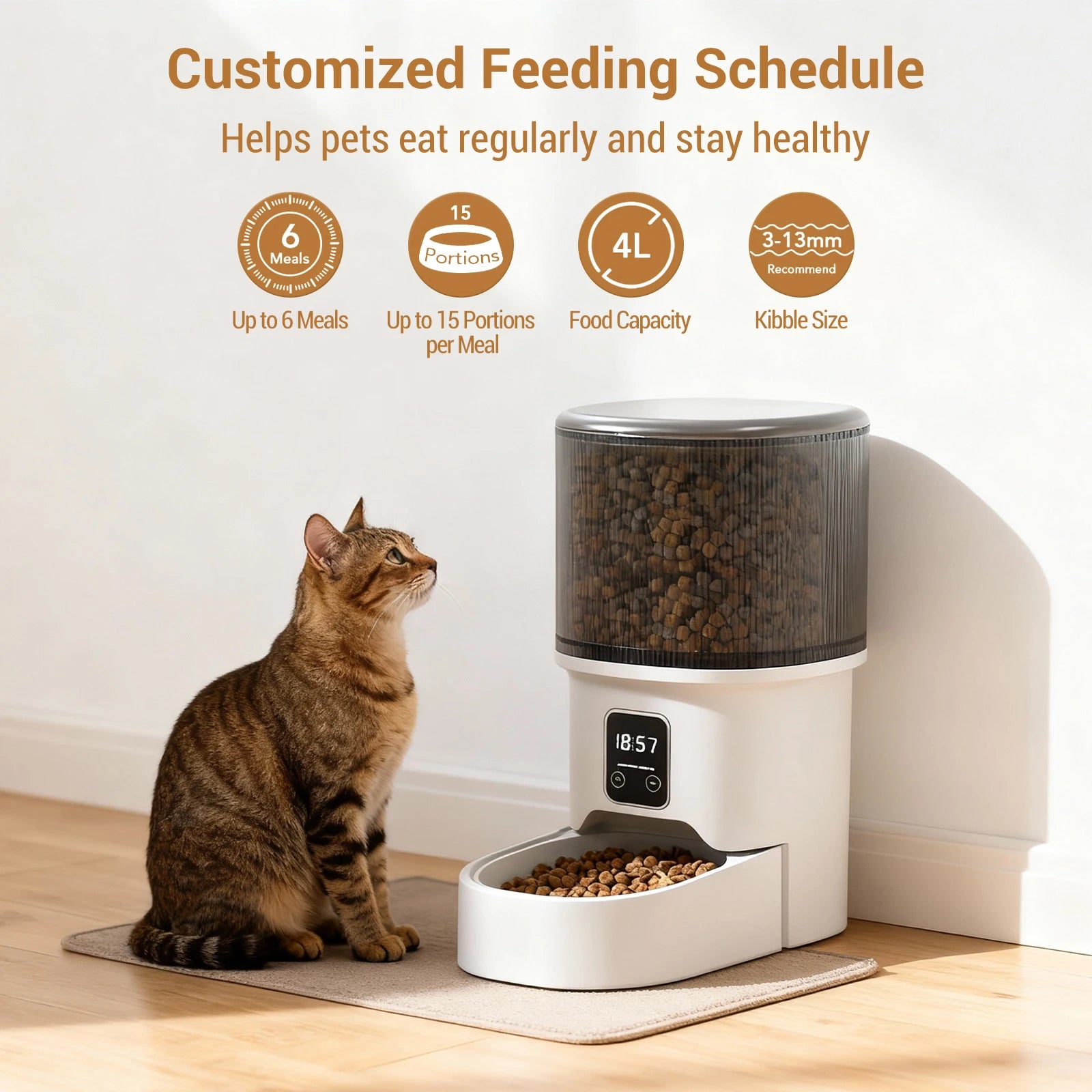Automatic Programmable Pet Feeder