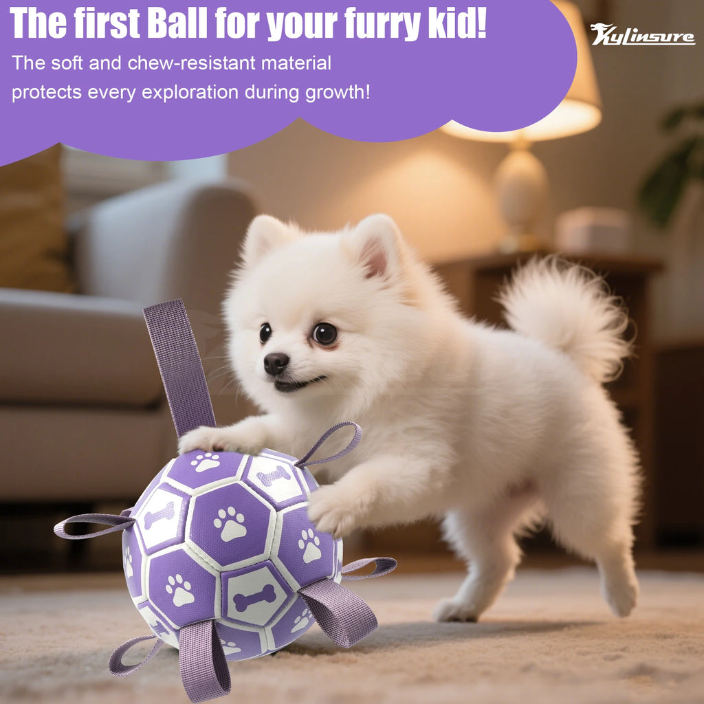 Dog Soccer Ball with Straps