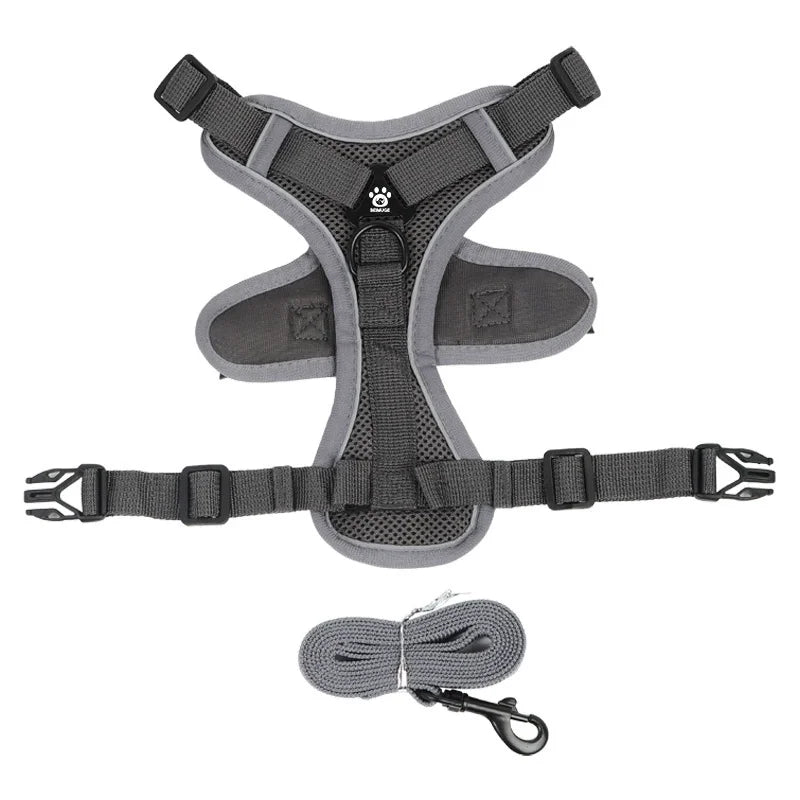 Adjustable No-Pull Dog Harness and Leash Set