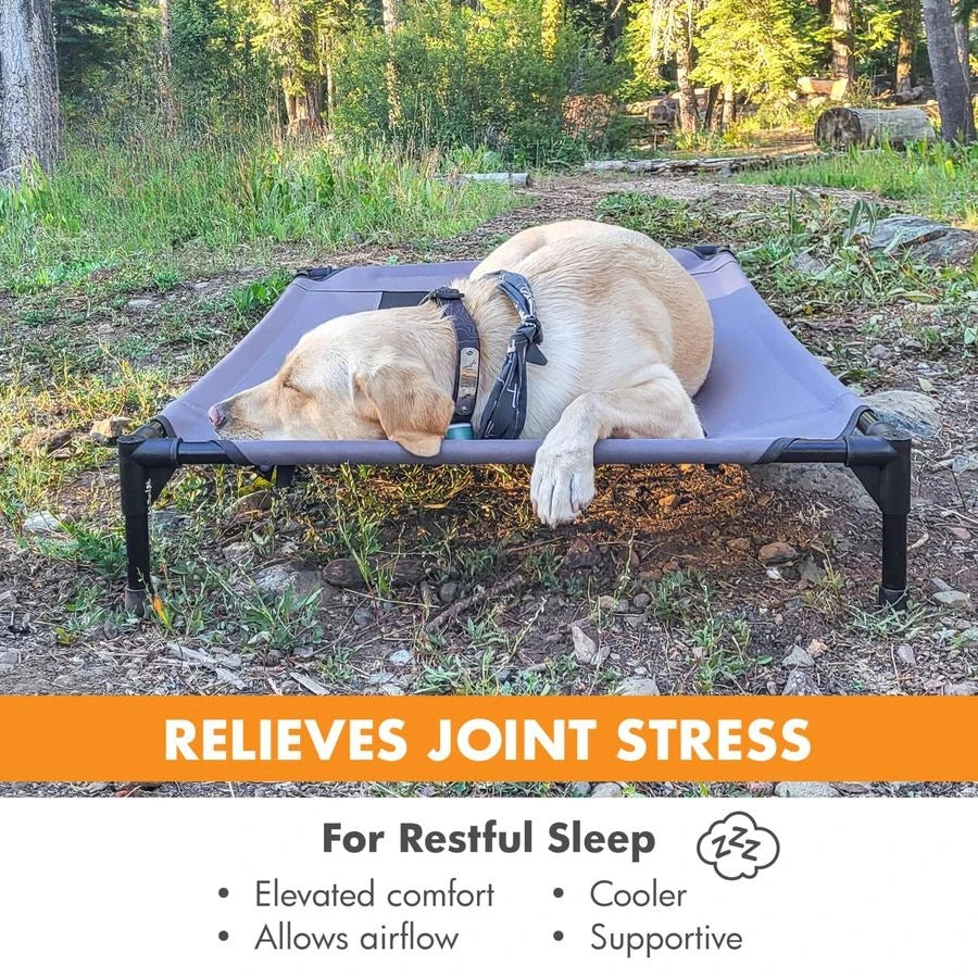 Outdoor Elevated Cooling Dog Bed