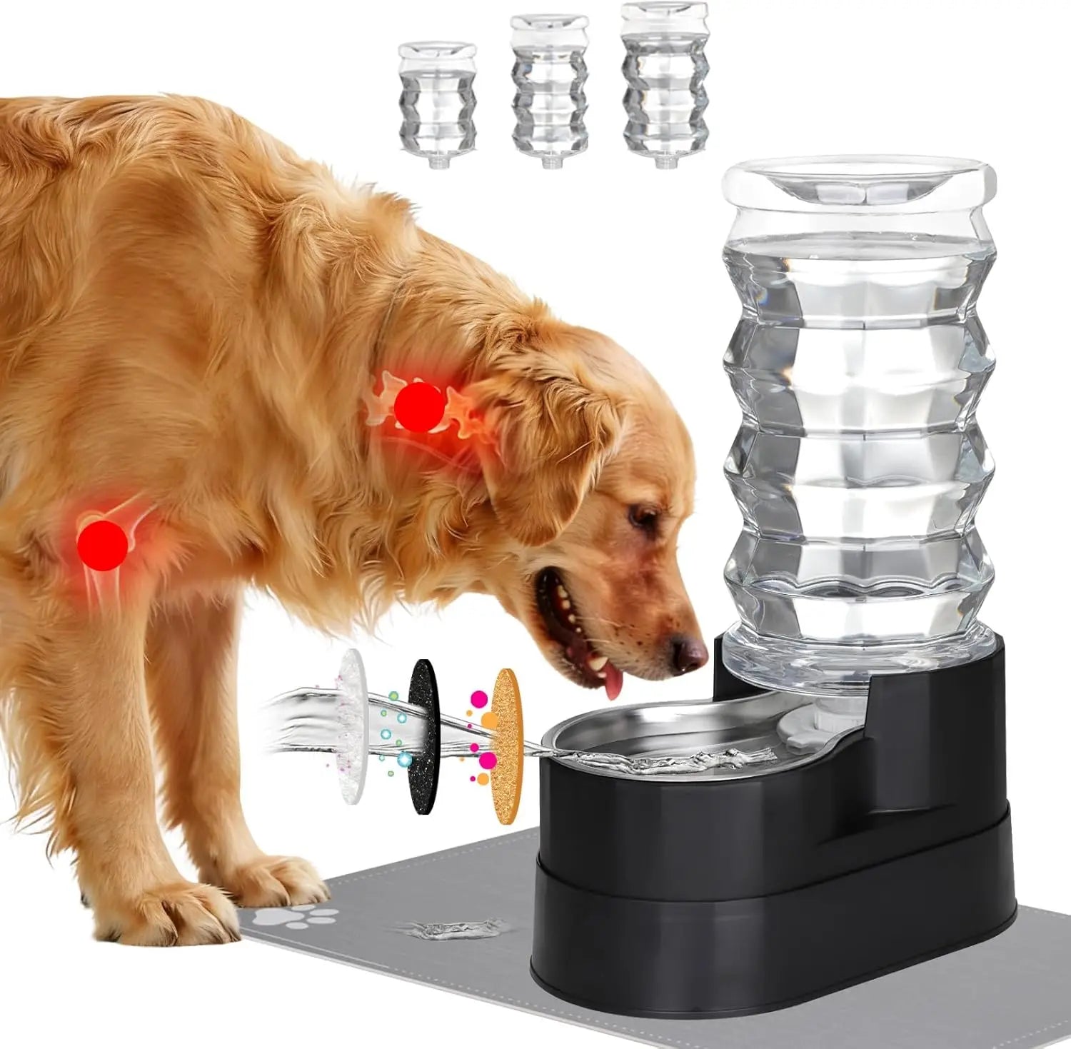 Elevated 8L Gravity Water Dispenser for Pets