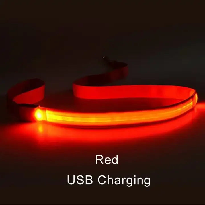 LED Lighted Dog Leash