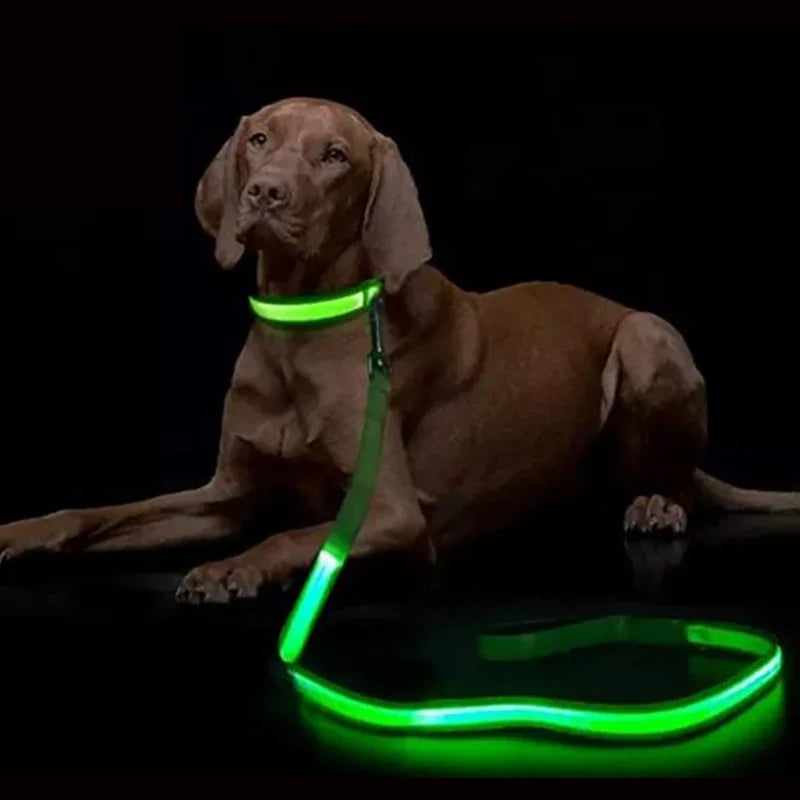 LED Lighted Dog Leash