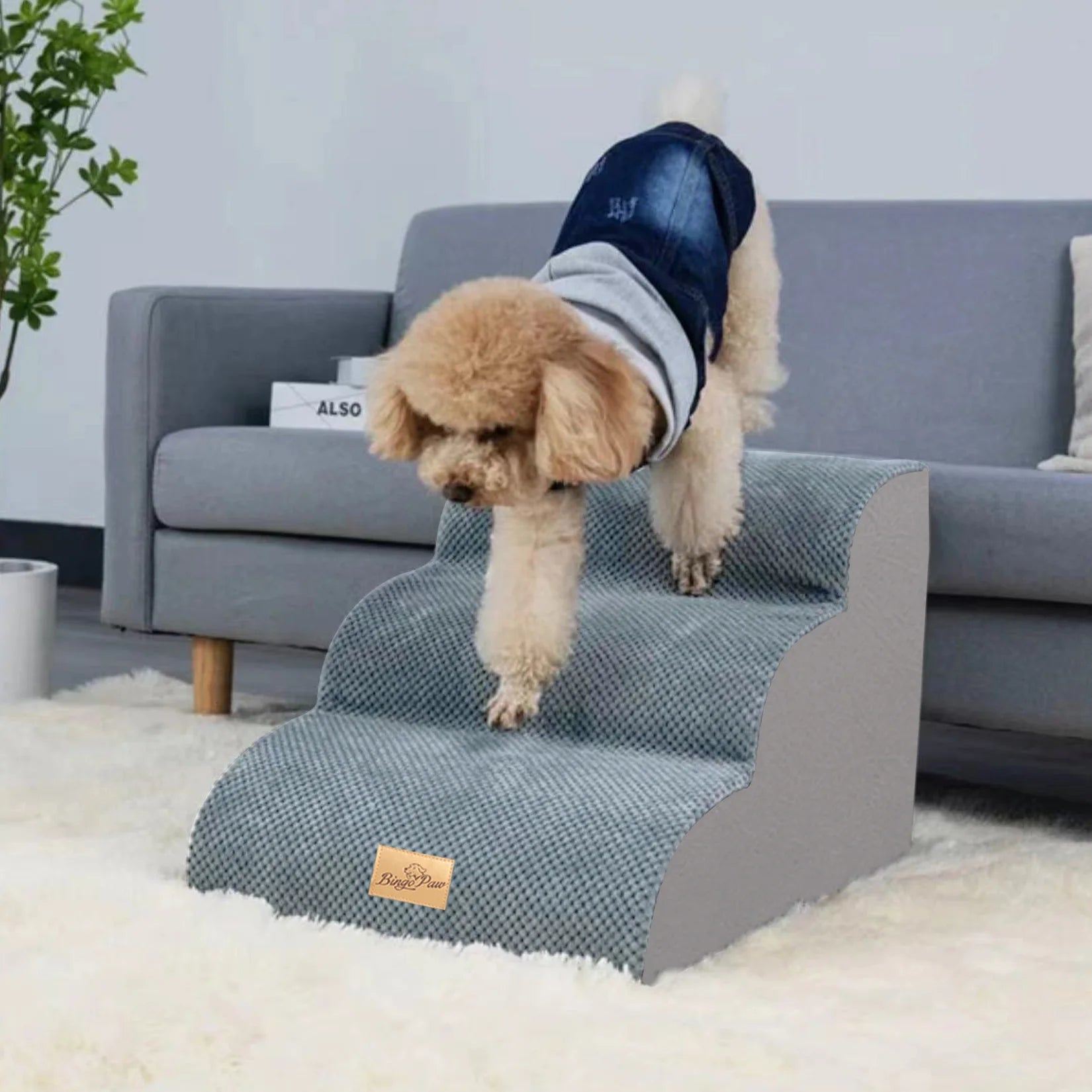 Pet Training Stairs with Removable Cover