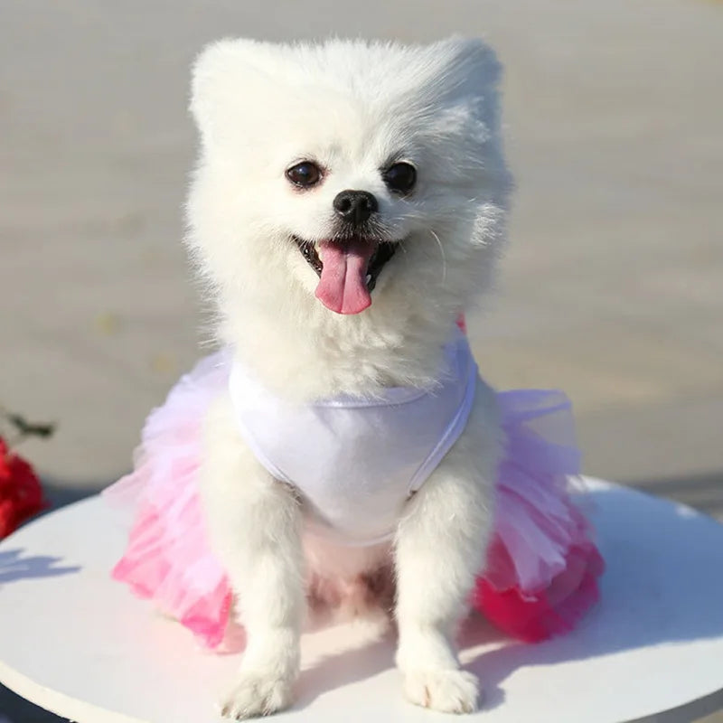 Sweet Princess Dress for Small and Medium Dogs