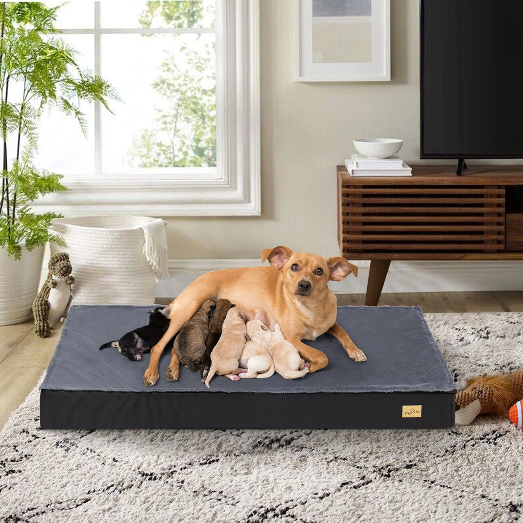 Large Orthopedic Dog Bed, Machine Washable