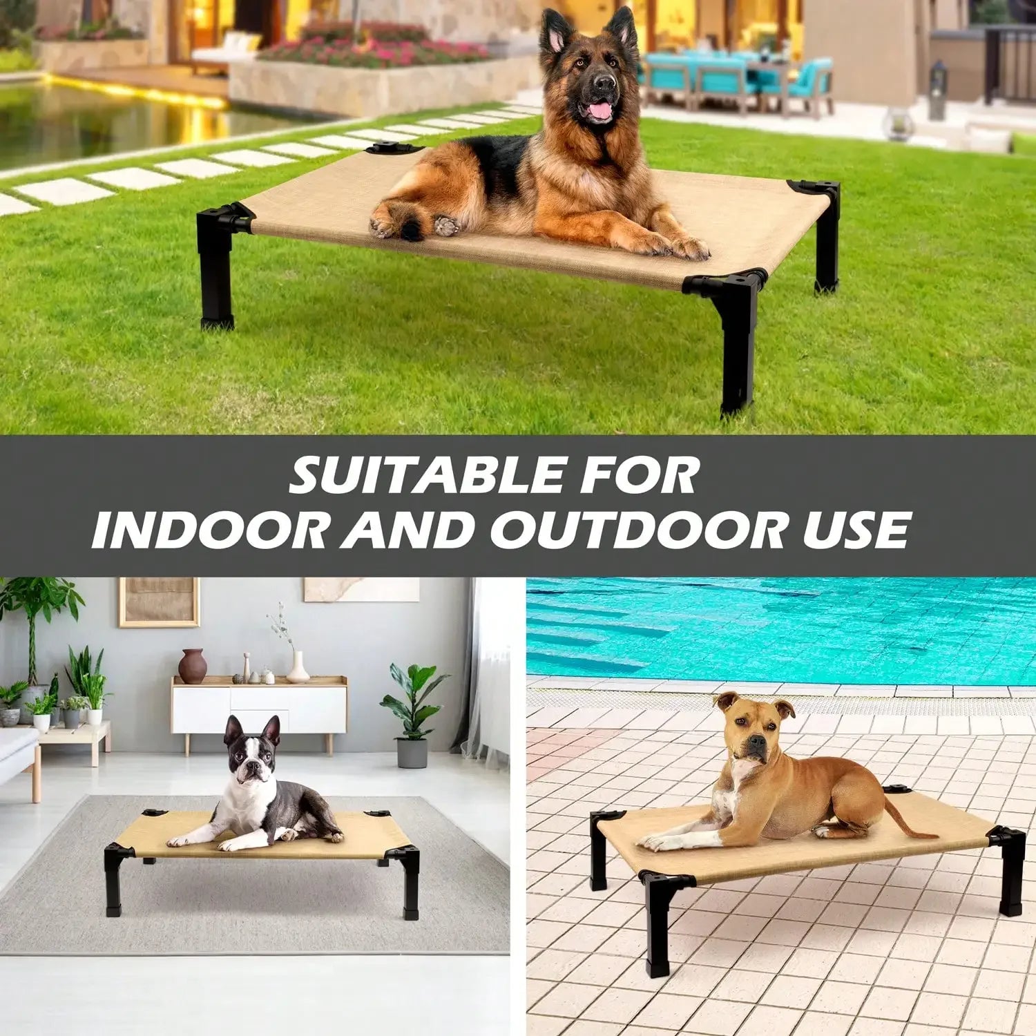 Cooling Elevated Dog Bed