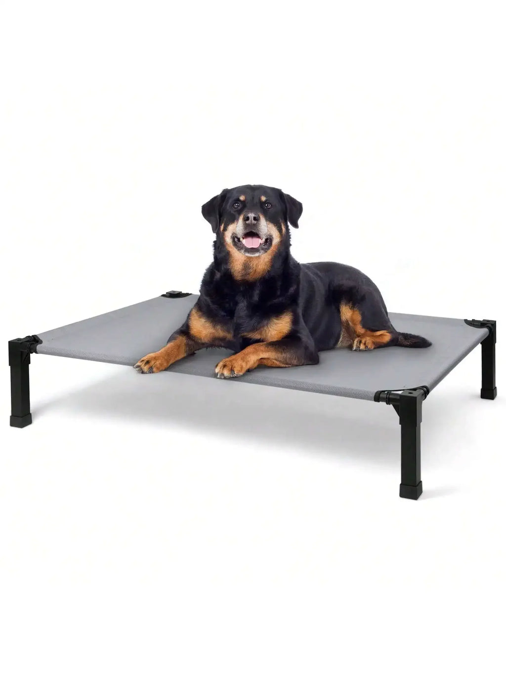 Cooling Elevated Dog Bed