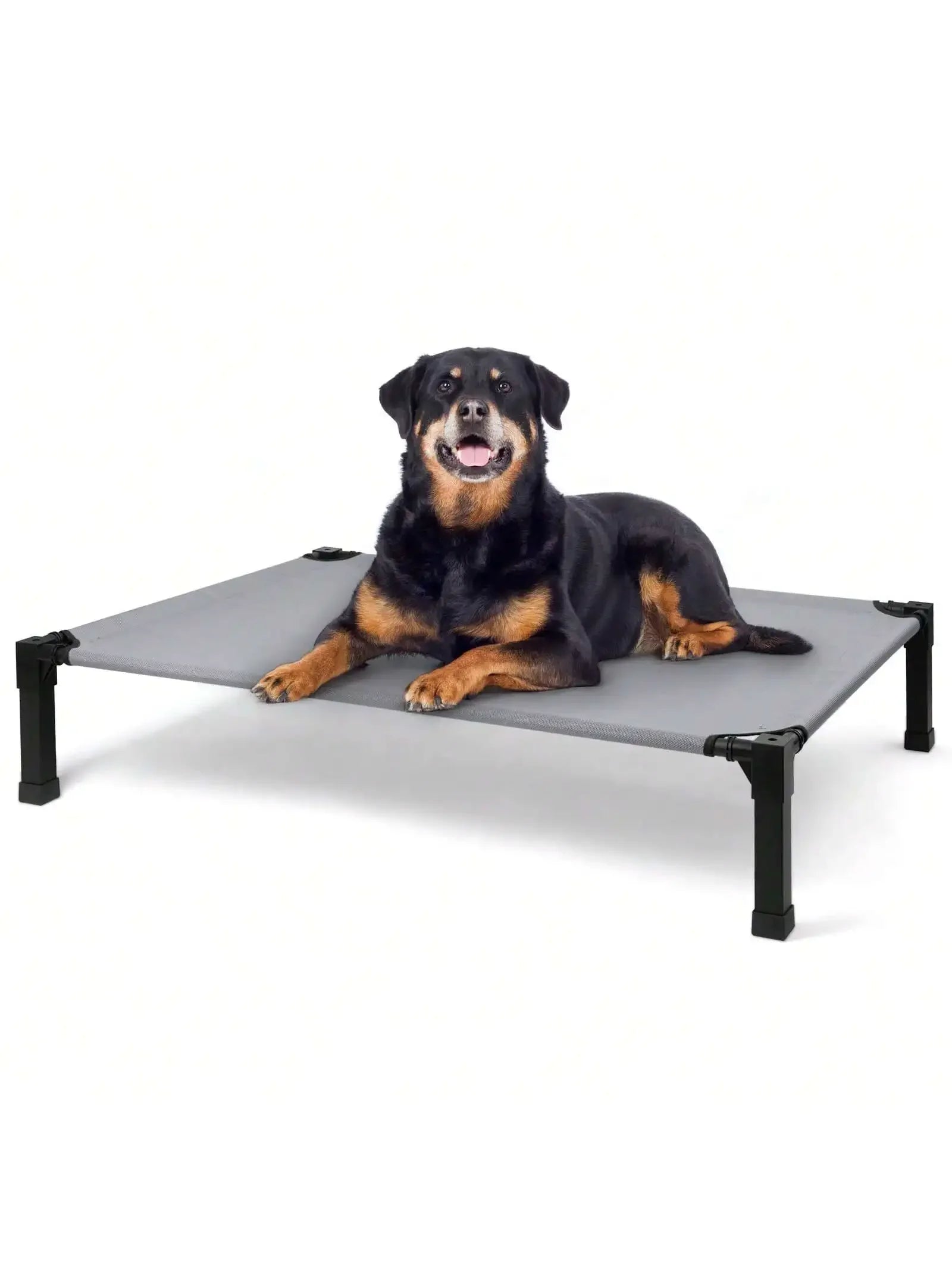 Cooling Elevated Dog Bed