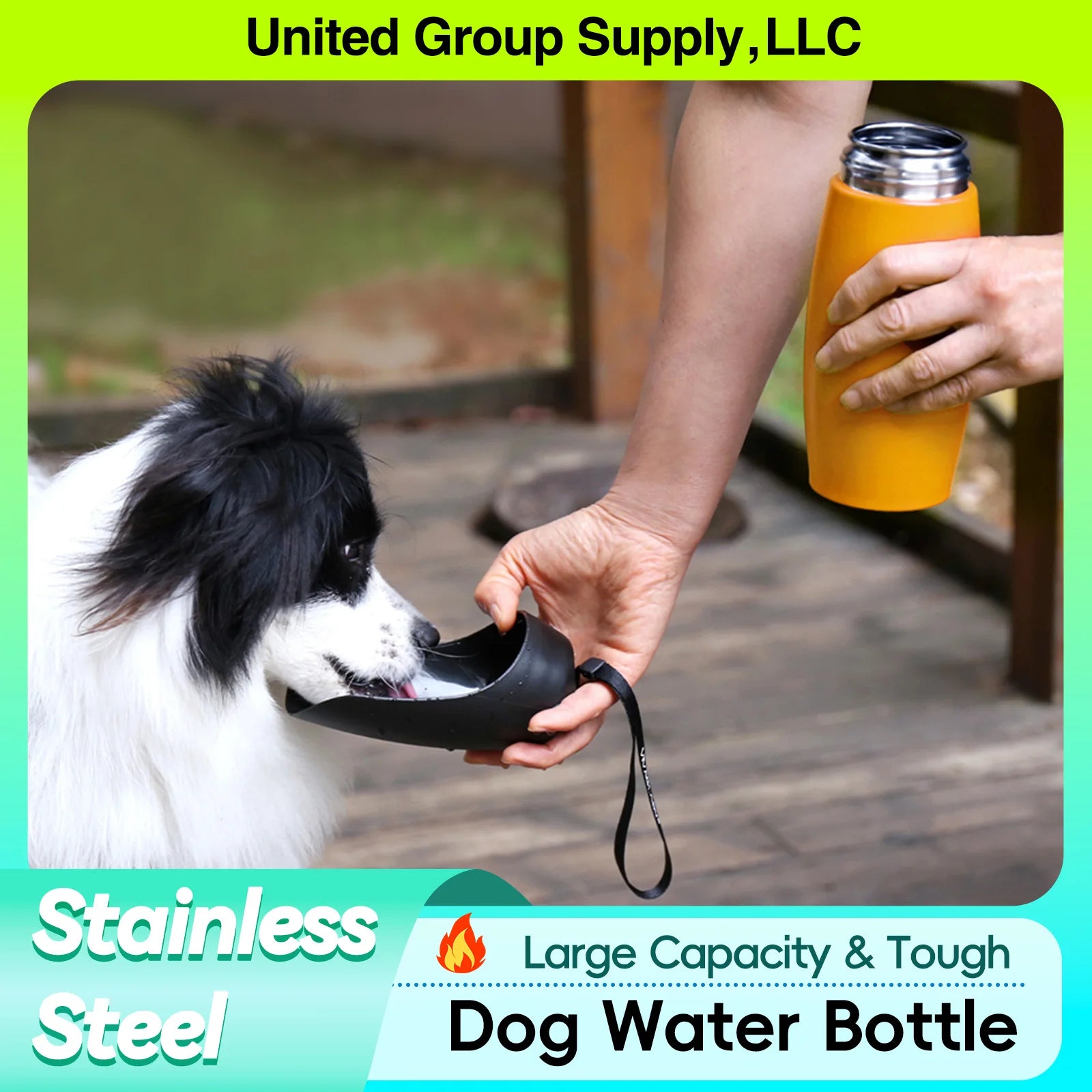 Dog Travel Water Bottle, Stainless Steel