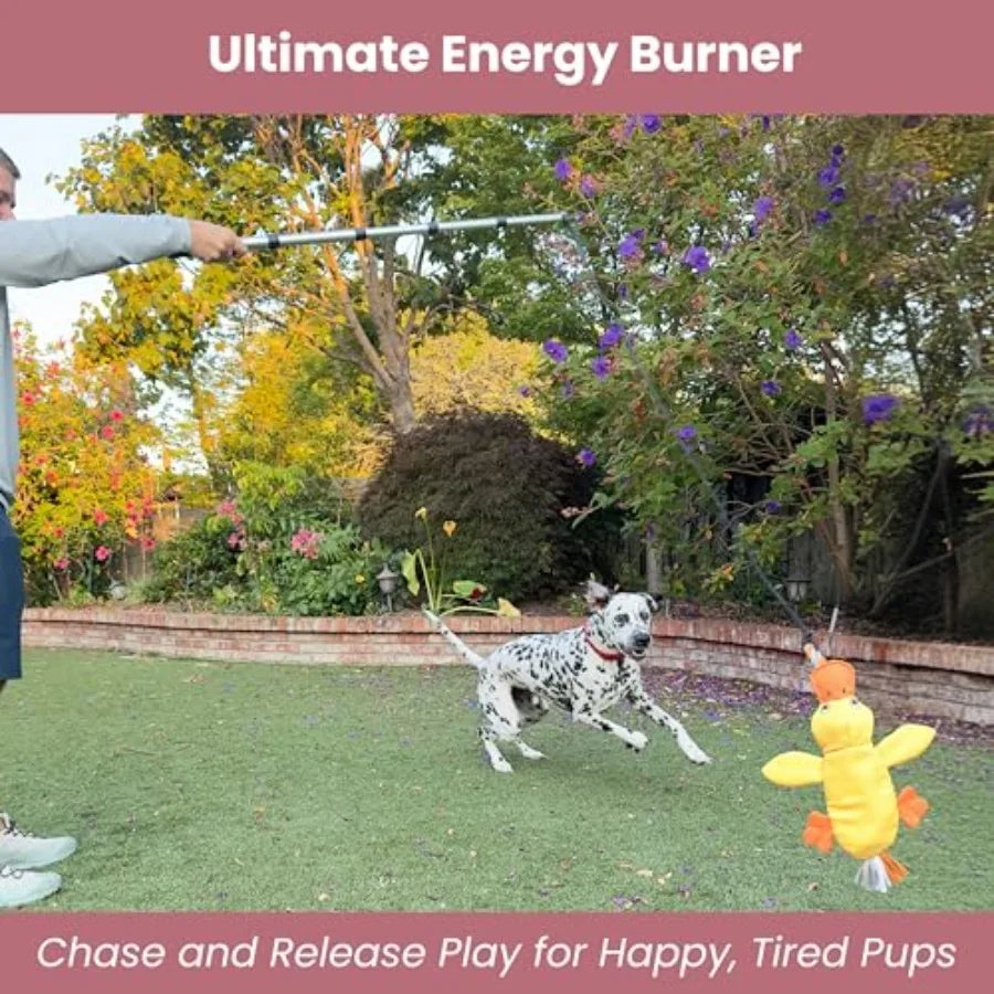 Heavy Duty Flirt Pole for Dogs