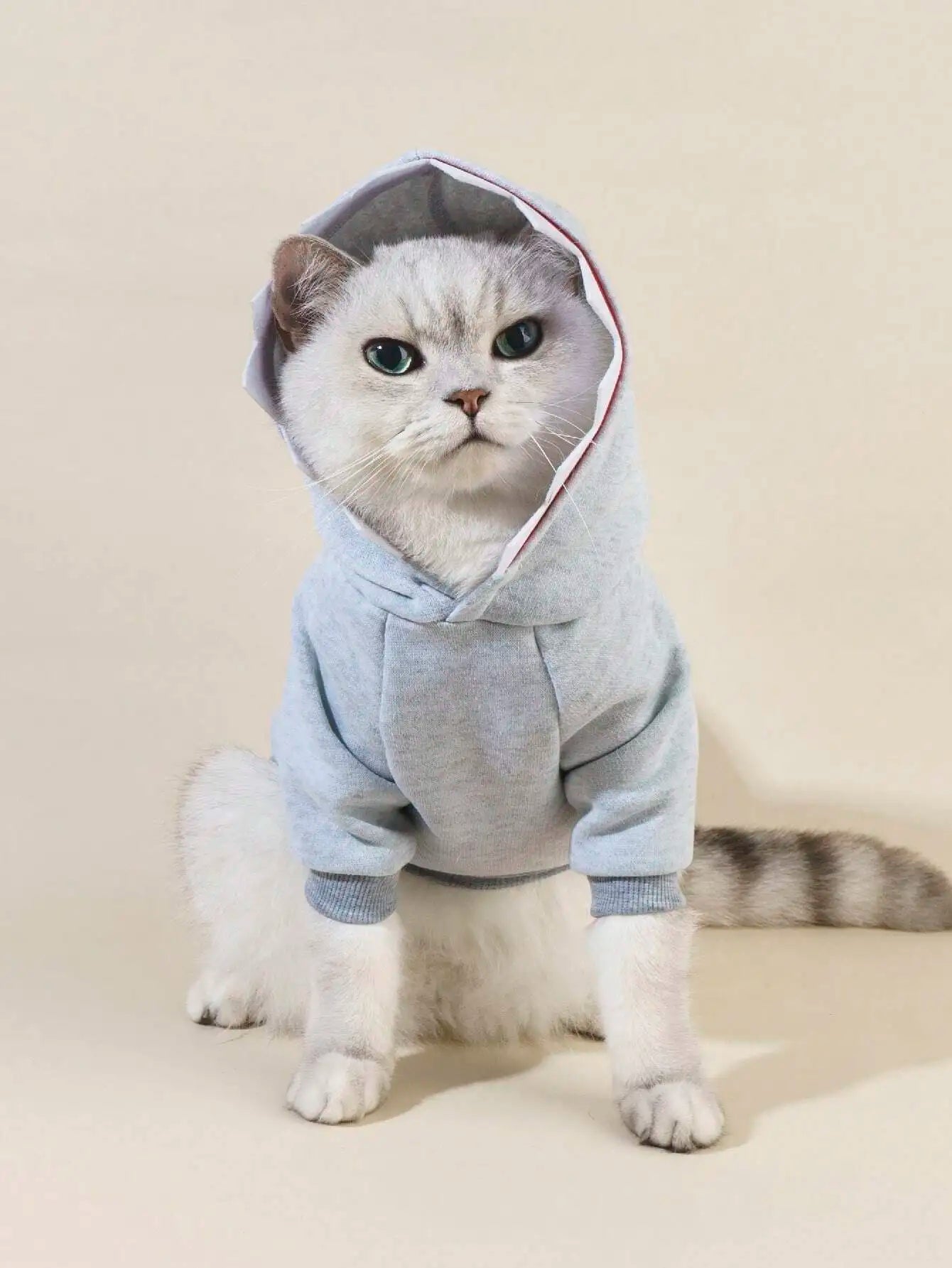 Gray Shark-Style Hooded Pet Sweater