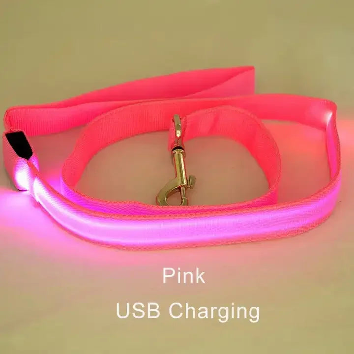 LED Lighted Dog Leash