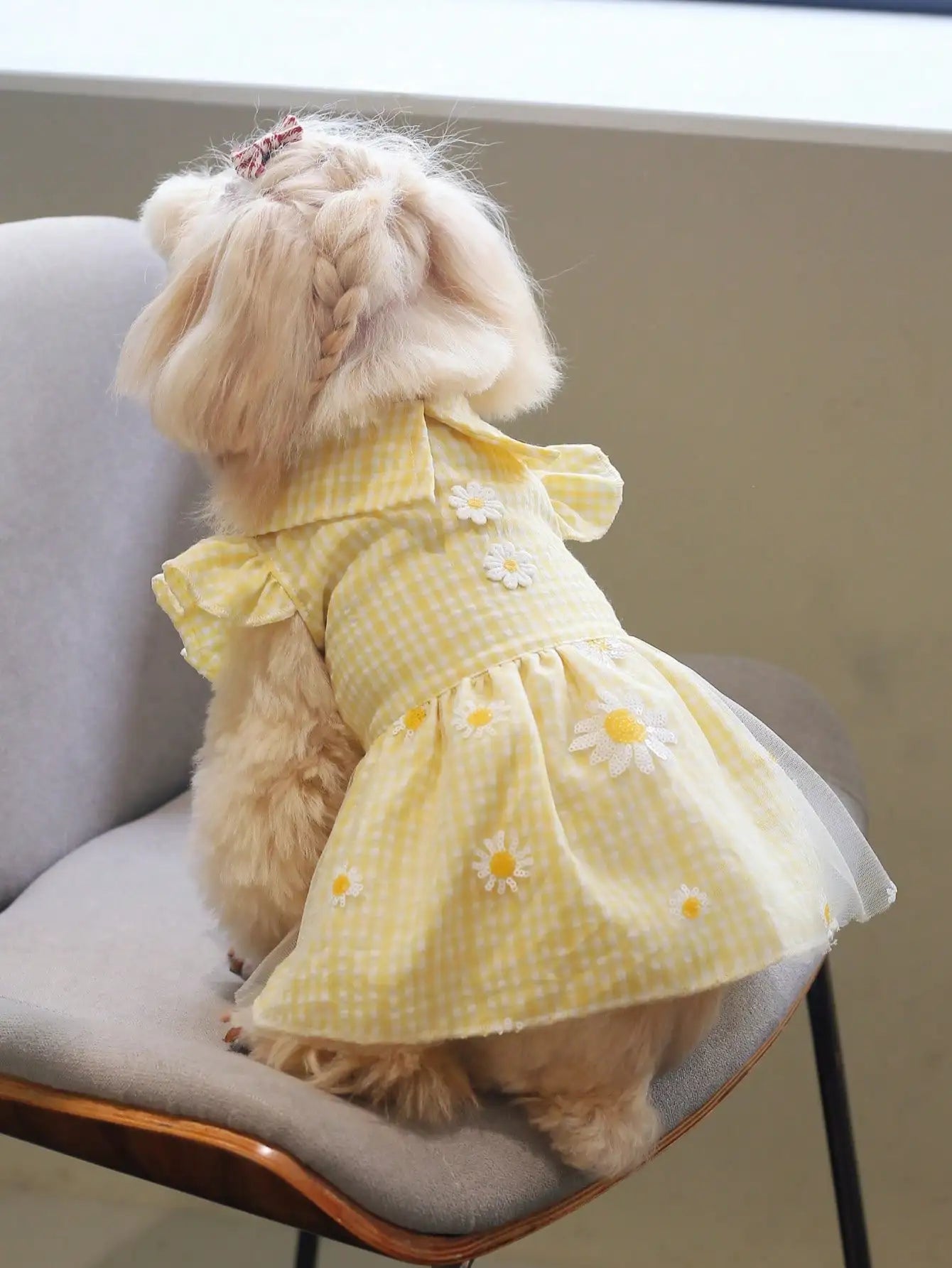 Yellow Embroidered Gingham Pet Dress