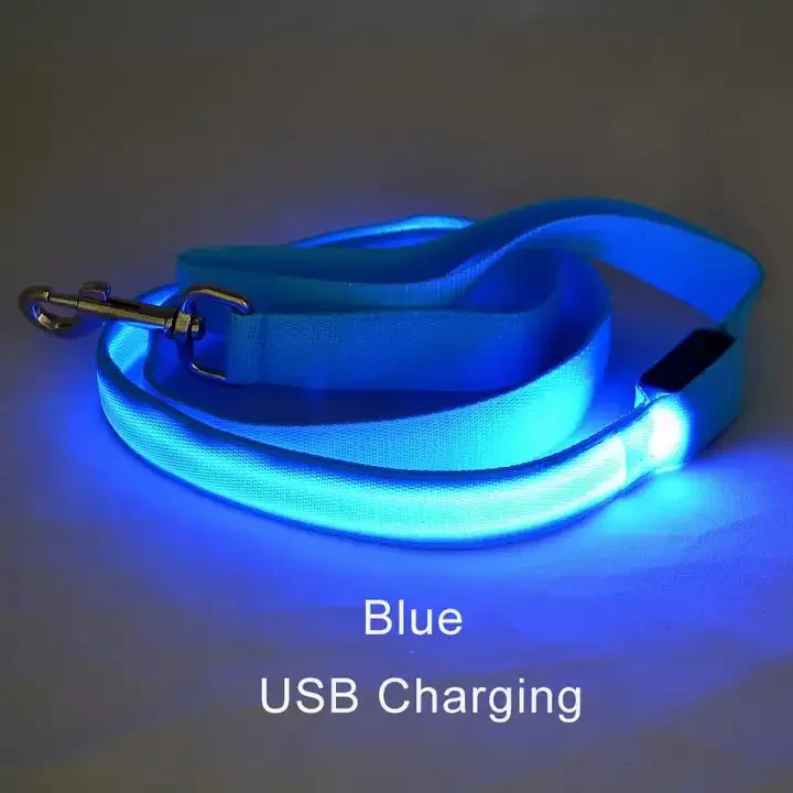 LED Lighted Dog Leash