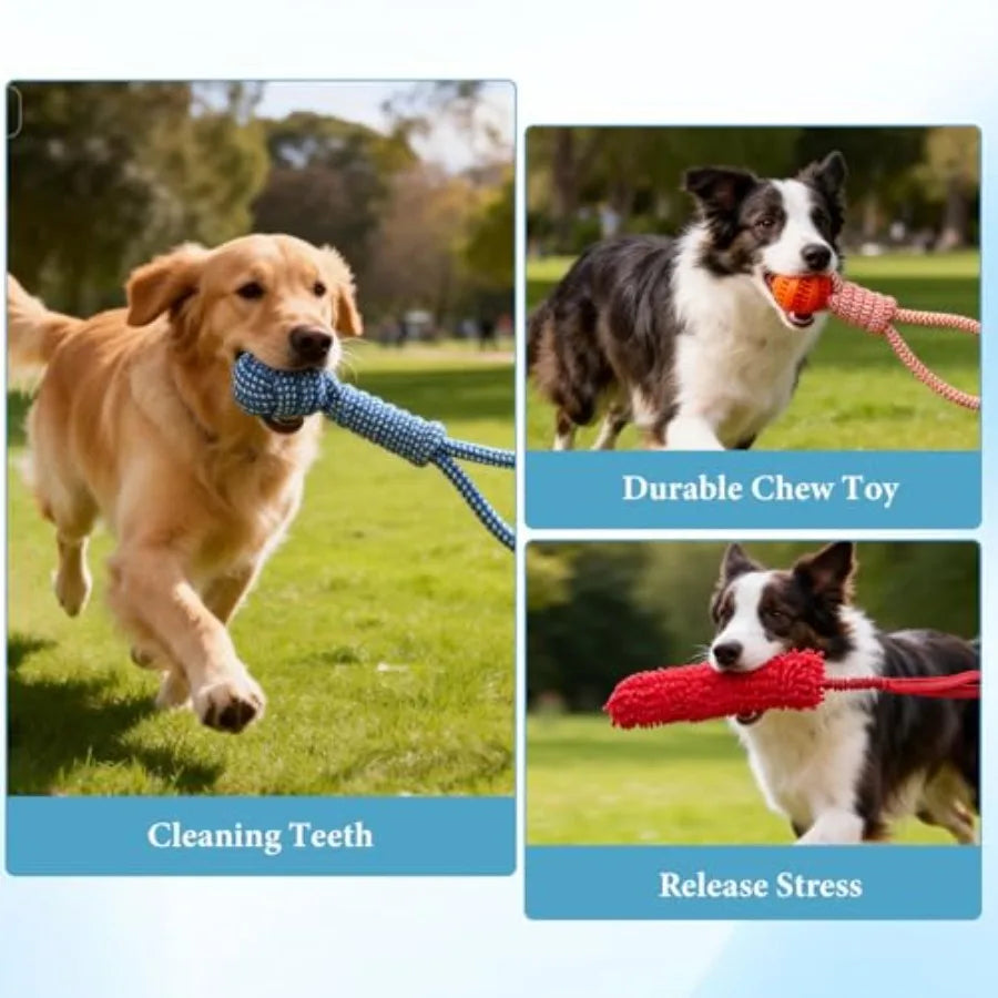 Outdoor Tether Tug Dog Toy Set
