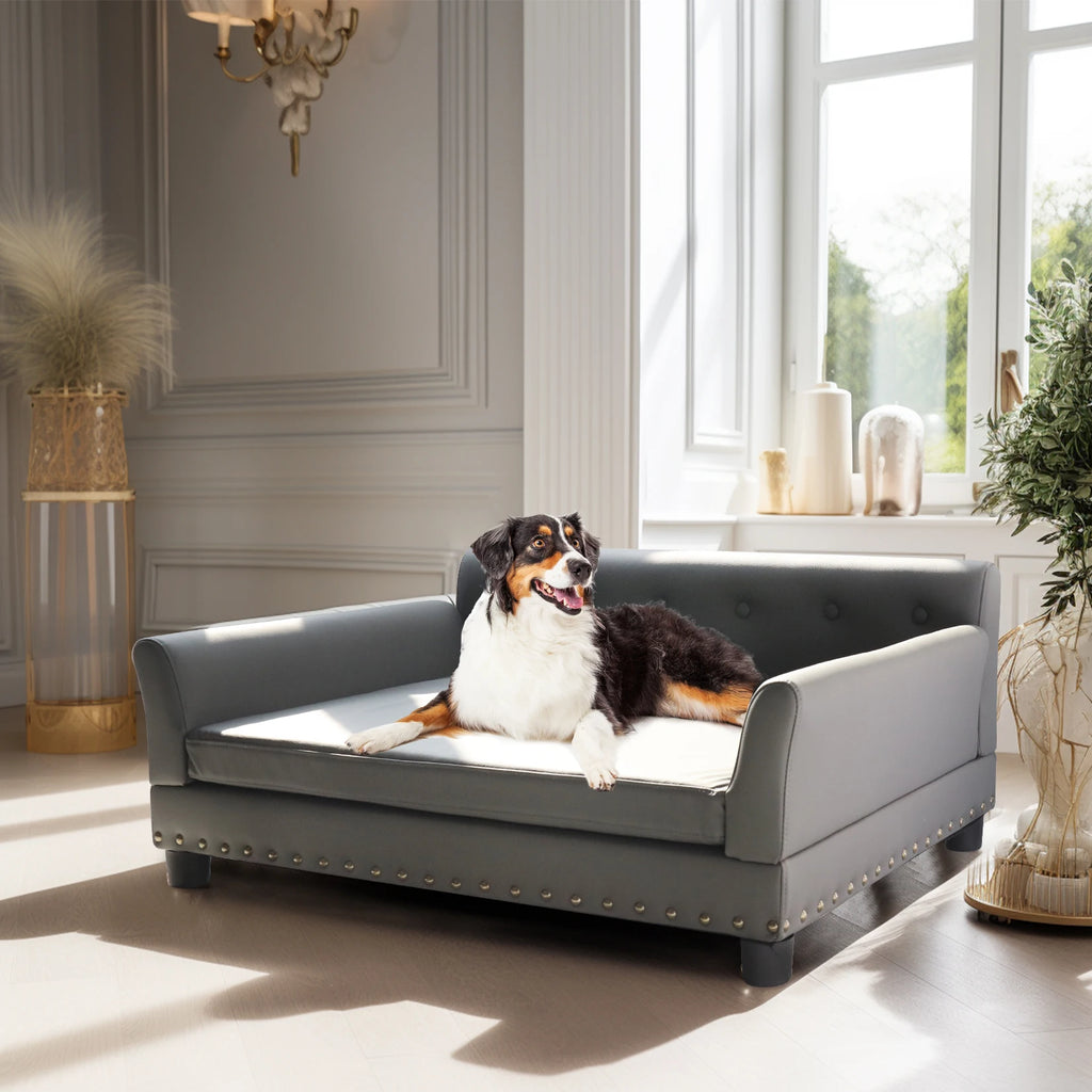 Durable Elevated Modern Dog Sofa Bed
