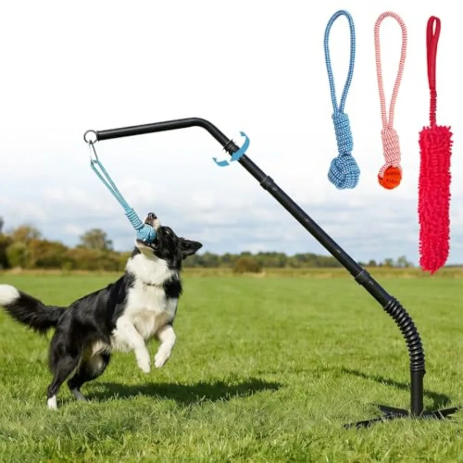 Outdoor Tether Tug Dog Toy Set