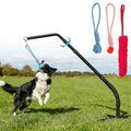 Outdoor Tether Tug Dog Toy Set