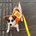 Waterproof Pet Backpack, Harness, and Leash