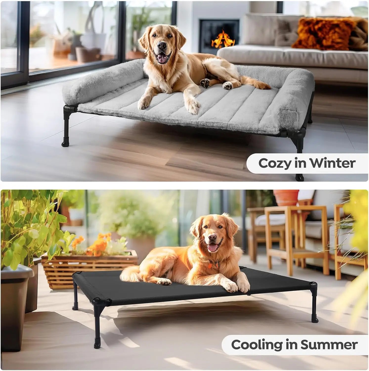 Elevated Orthopedic Dog Bed with Bolster