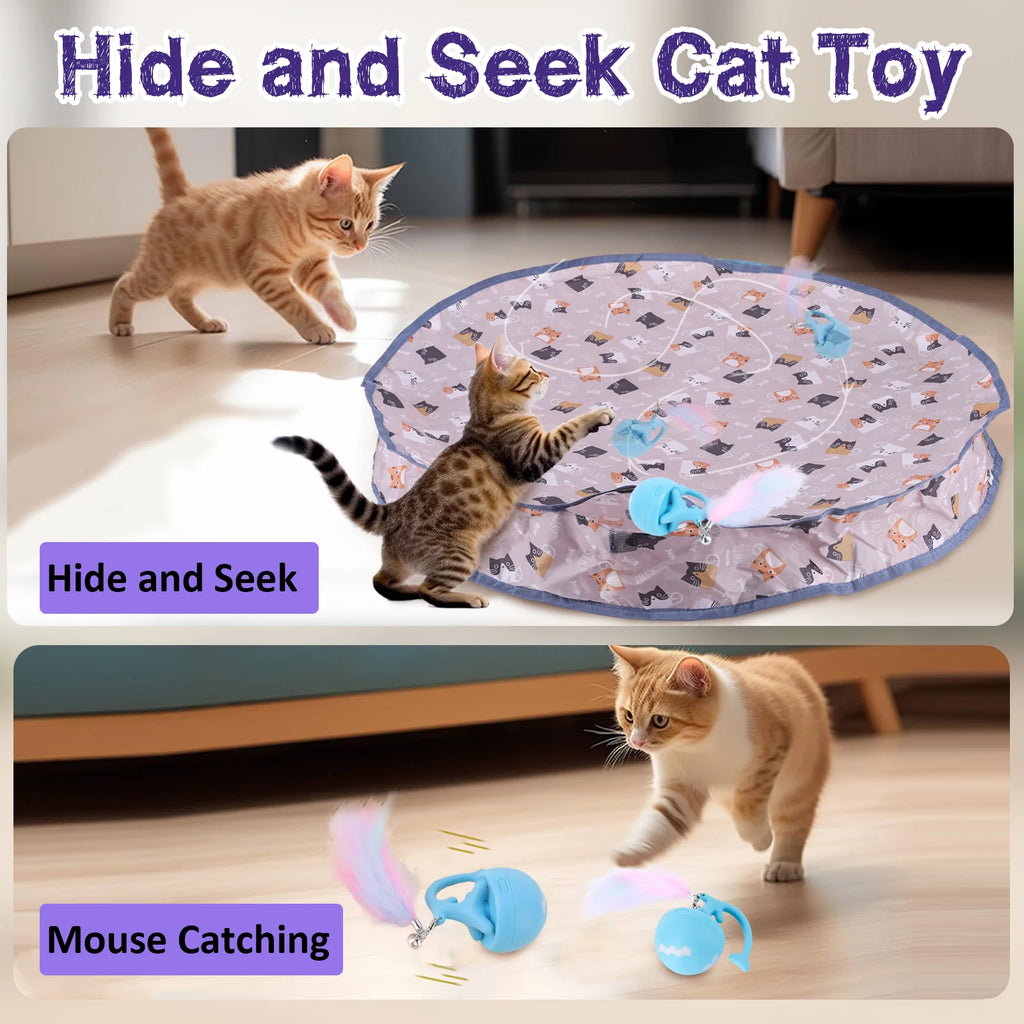 Interactive Cat and Mouse Toy