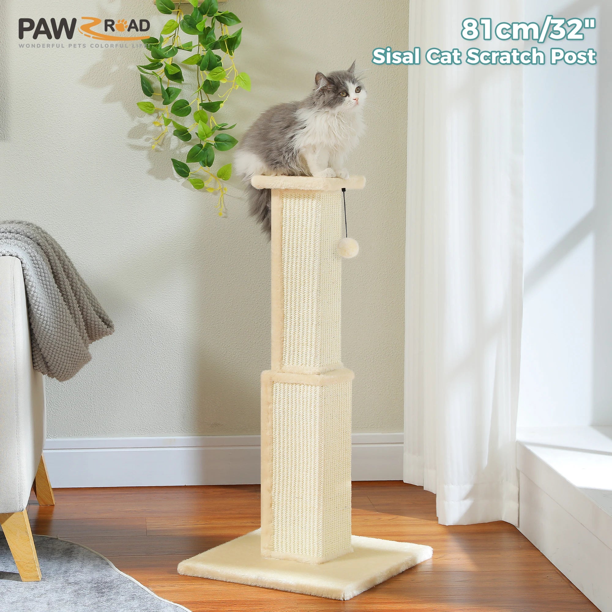 Tall Cat Scratching Post with Ball