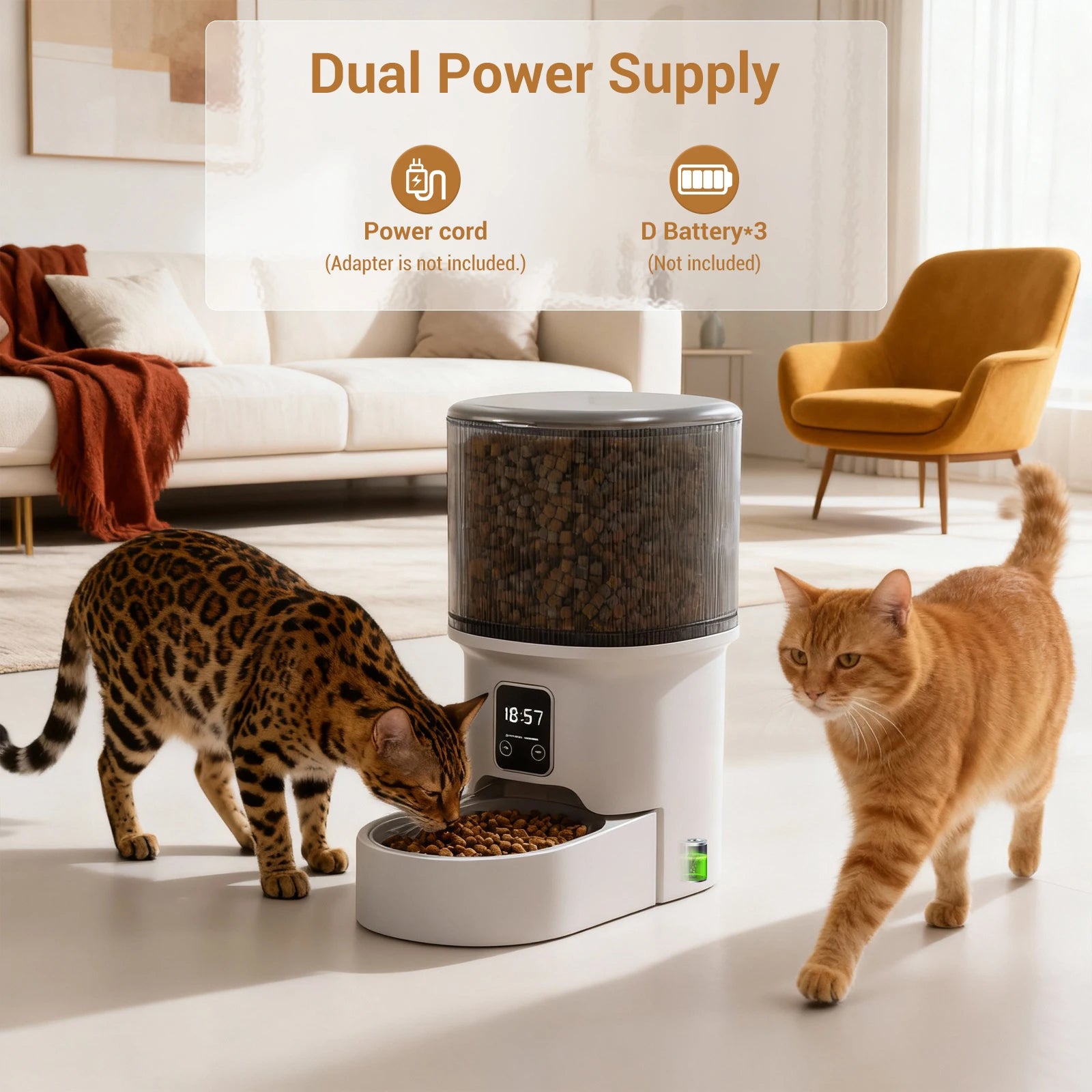 Automatic Programmable Pet Feeder