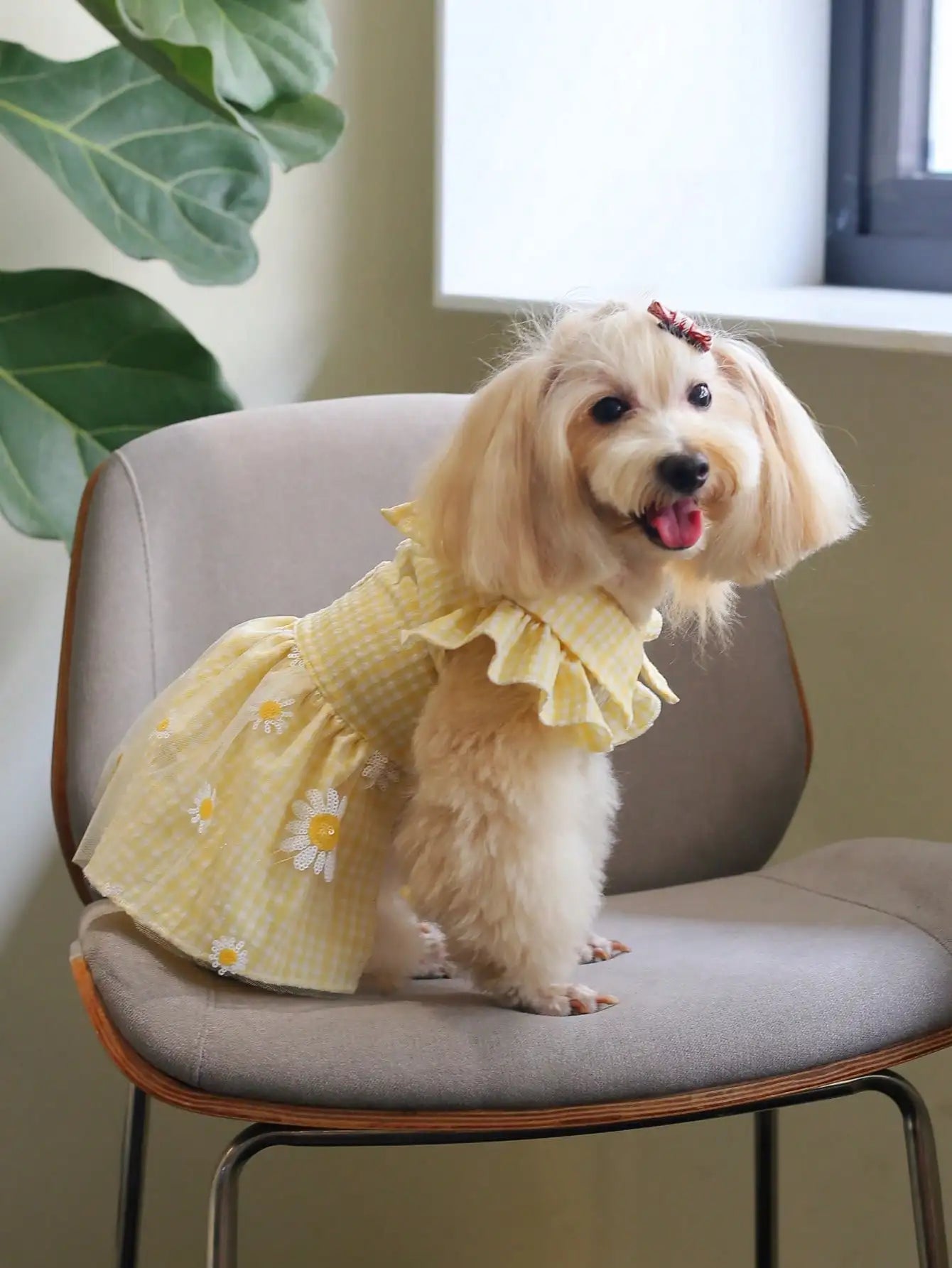Yellow Embroidered Gingham Pet Dress