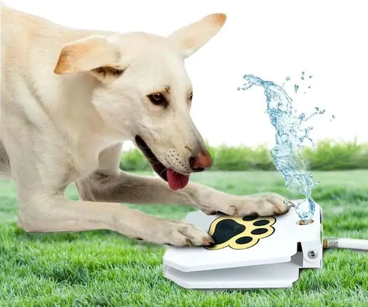 Paw-Activated Outdoor Dog Water Fountain