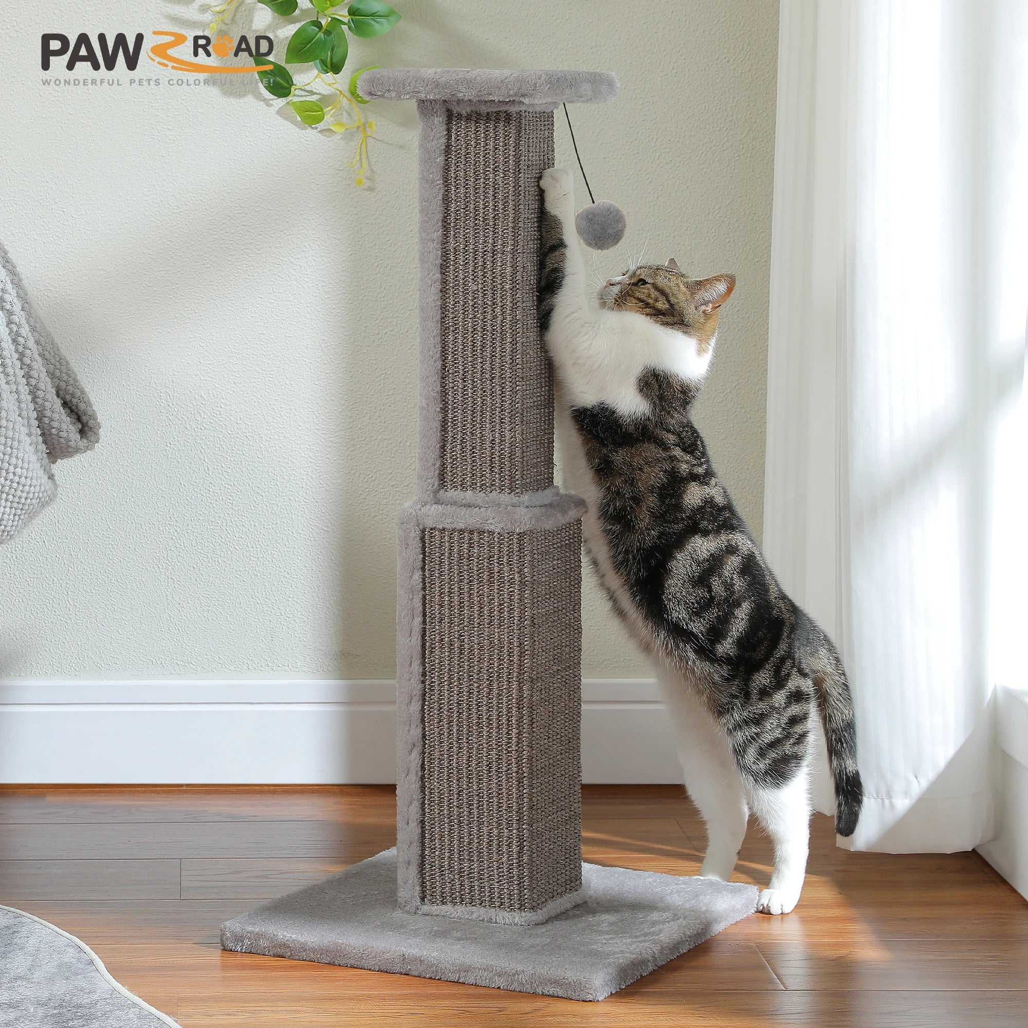 Tall Cat Scratching Post with Ball