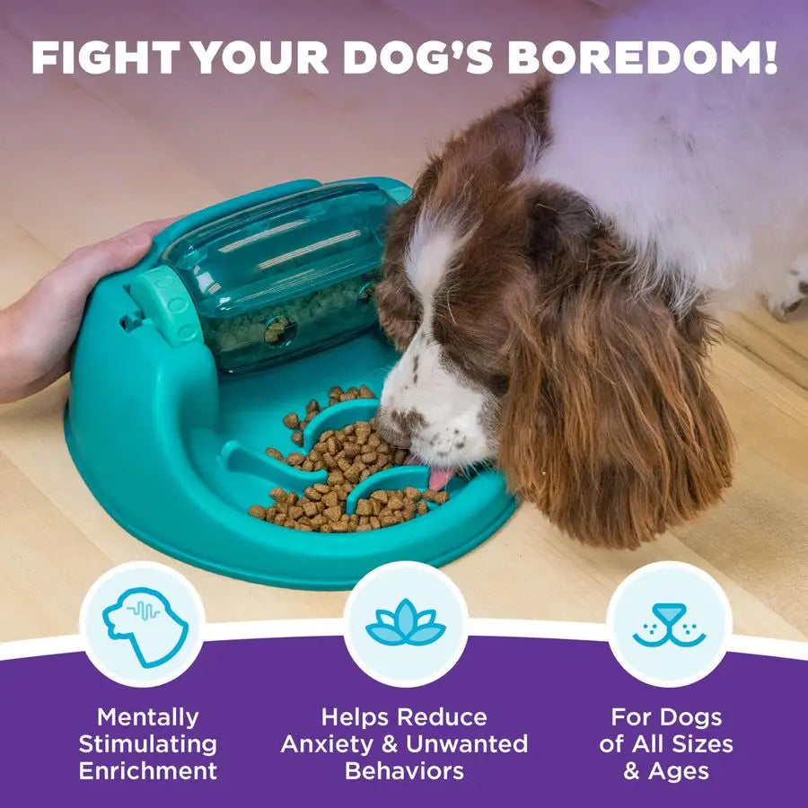 Spin N Eat Dog Puzzle and Slow Feeder