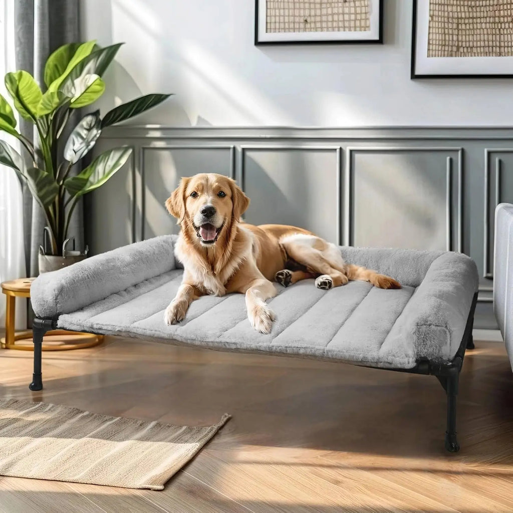 Elevated Orthopedic Dog Bed with Bolster