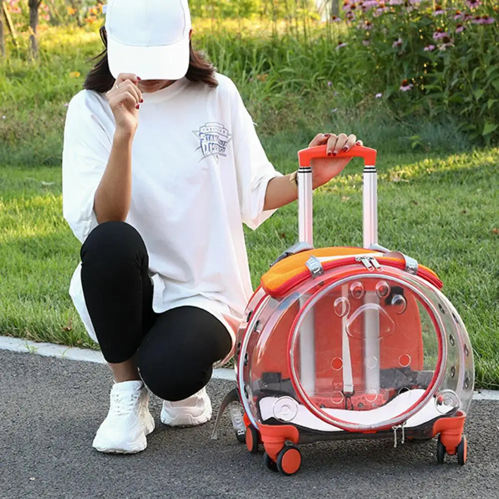 Portable Pet Trolley Case with Ventilation Holes