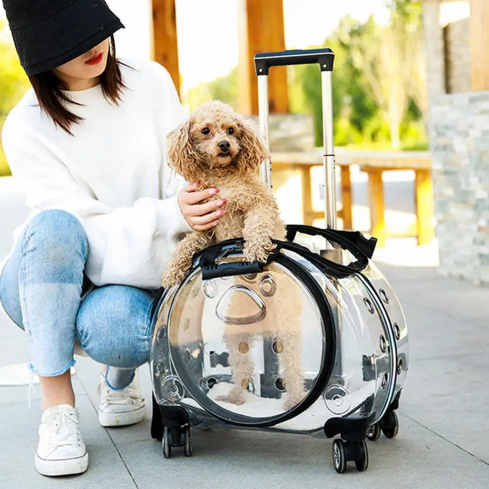Portable Pet Trolley Case with Ventilation Holes