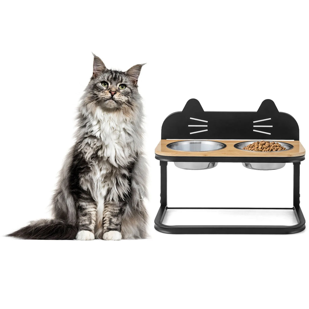 Elevated Cat Feeder with 2 Stainless Bowls