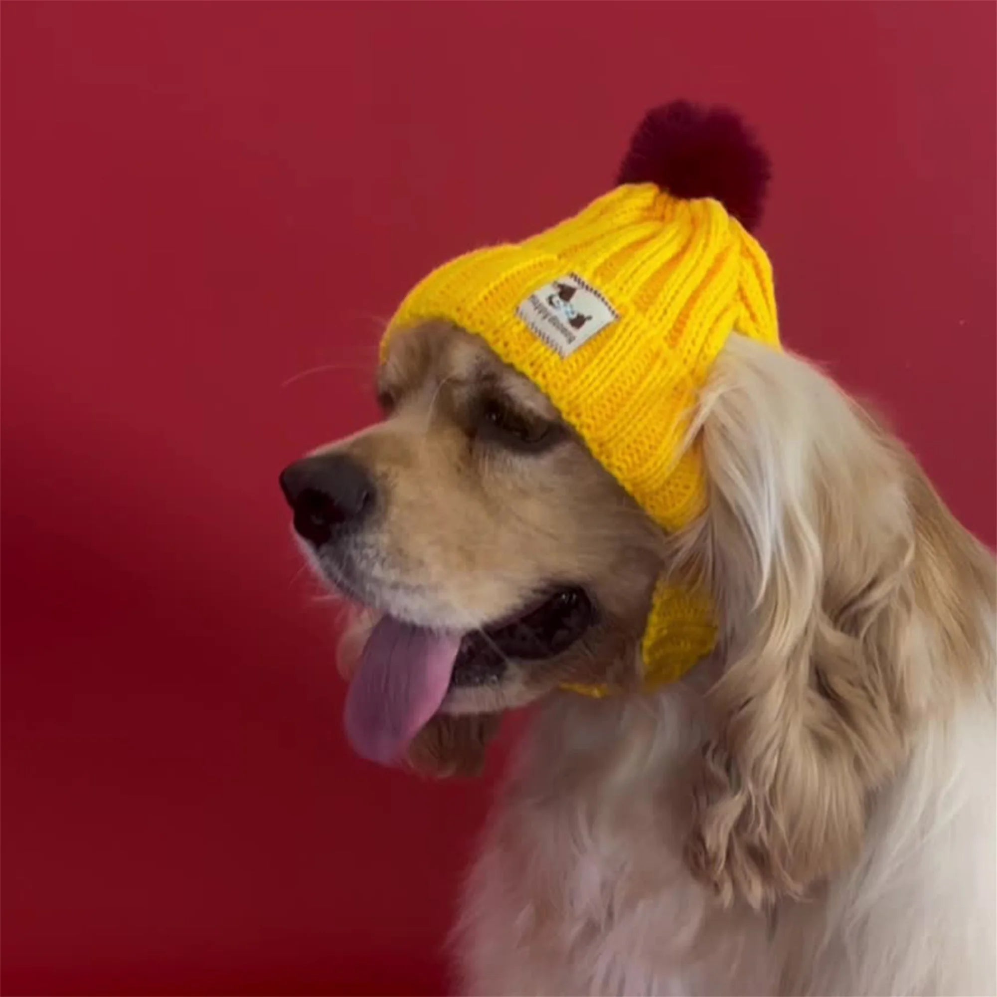 Warm Winter Pet Beanie with Pom Pom