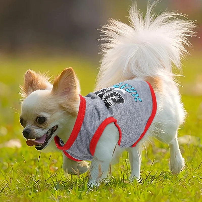 4 Piece Puppy Clothes for Small Pets